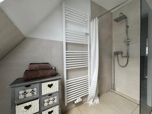a bathroom with a shower and a sink at Gemütlich wohnen in Brake in Bielefeld