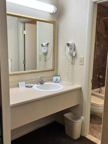 a bathroom with a sink and a mirror at Windjammer Lodge in Ogdensburg