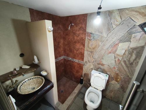 a bathroom with a shower and a toilet and a sink at Ohana in Zárate