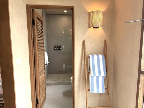 MayreauWindward Mayreau Resort的带步入式淋浴间和卫生间的浴室