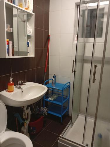 a bathroom with a shower and a sink and a toilet at B&BAnjanaS in Vaggeryd