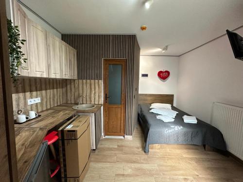 ブラショヴにあるPension Green Parkのベッドと洗面台のある小さな寝室