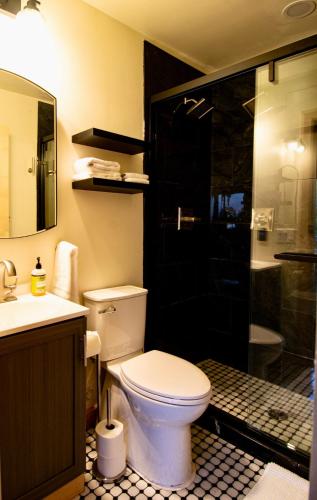 a bathroom with a toilet and a shower at Stunning city views guesthouse in Saint Paul