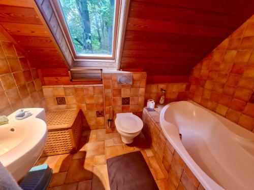 a bathroom with a toilet and a tub and a sink at Calderus house Dobogókő in Pilisszentkereszt