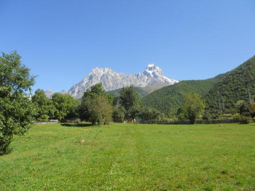 Φωτογραφία από το άλμπουμ του Guest House Vivaushba σε Bagvdanari