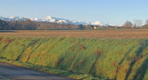 a field next to a road with mountains in the background at Le chalet bien-être de Vanessa in Peyret-Saint-André