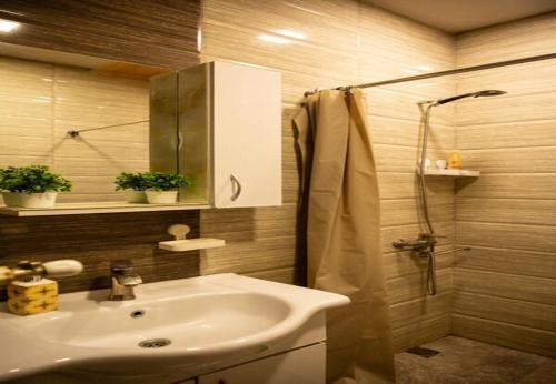 Ένα μπάνιο στο Center Tbilisi Apartments