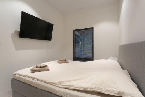 Μια τηλεόραση ή/και κέντρο ψυχαγωγίας στο Vaaralan Valo