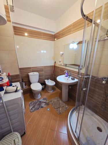 a bathroom with a shower and a toilet and a sink at Kasim Cozy Apartment- N&S Terminal in Bregu i Lumit