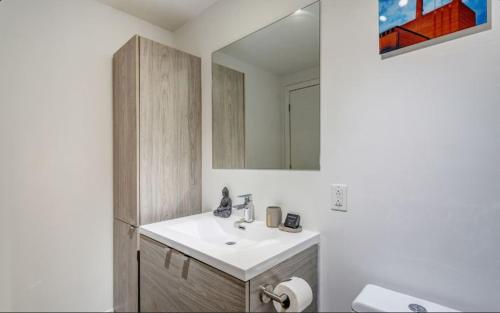une salle de bain avec un lavabo et un miroir dans l'établissement Corporate Stays Le Shaughn 2 Bedroom, à Montréal