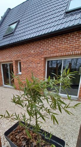 eine Pflanze in einem Topf vor einem Backsteingebäude in der Unterkunft Nature et Moi in Wittes