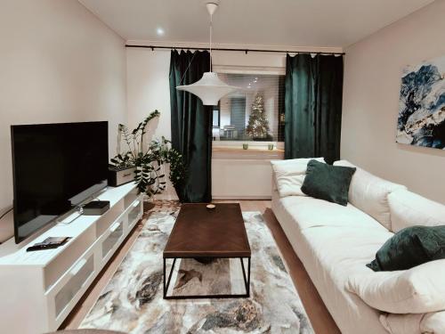 Μια τηλεόραση ή/και κέντρο ψυχαγωγίας στο PirkkaNest