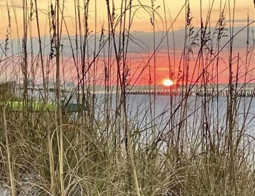 Destin Holiday Beach Resort photo 29