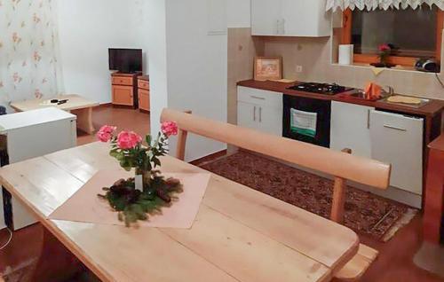 Kuchyň nebo kuchyňský kout v ubytování 2 Bedroom Amazing Apartment In Mrkopalj