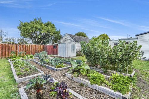 een tuin met meerdere groentepercelen in een tuin bij Boxed Bliss on Fox in Hamilton