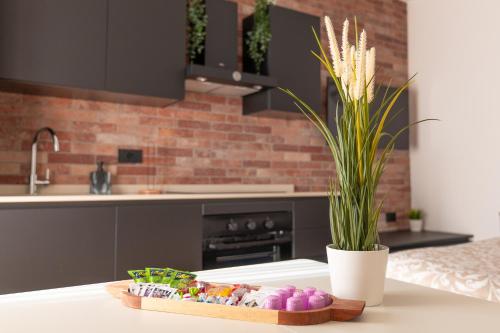 a kitchen counter with a tray of toys and a plant at Elegant Urban Home - Free Parking - 7min Niguarda in Bresso