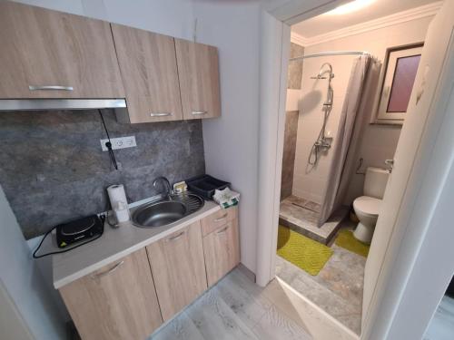 a small bathroom with a sink and a toilet at Pensiunea NikoBella Panzió in Sovata