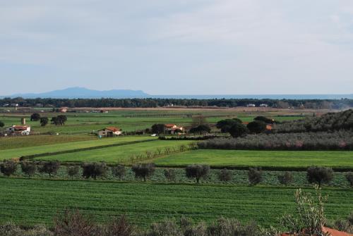 a field of green grass with houses in the distance at Agriturismo Val di Nappo in Castiglione della Pescaia