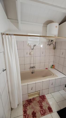 ein Badezimmer mit Badewanne und Duschvorhang in der Unterkunft La maison des flots in Baille-Argent