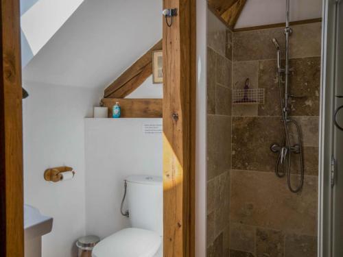 a bathroom with a toilet and a shower at Mas dAmour in Montcabrier