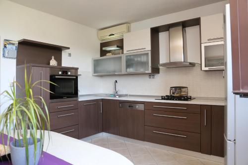 duża kuchnia z brązowymi szafkami i zlewem w obiekcie Apartments Pržina w mieście Lumbarda