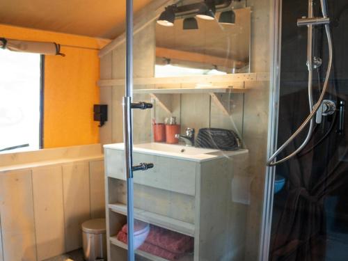 a bathroom with a sink and a shower at Luxury holiday home in Overijssel in Balkbrug