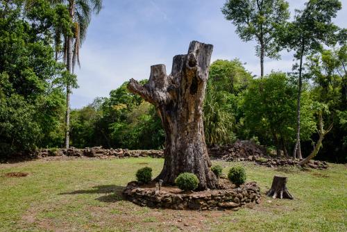 ein Baumstumpf mitten auf einem Feld in der Unterkunft Maison Valle in Taquara