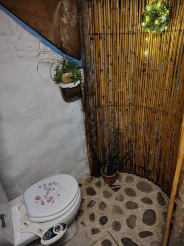 a bathroom with a toilet and plants in it at Cabaña HobbitXoxo in Xoxocotla