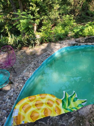 a pool of water with a fish painted on it at Cabaña HobbitXoxo in Xoxocotla