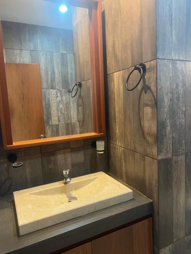 a bathroom with a sink and a mirror at Departamento 10 Polanco in Valladolid