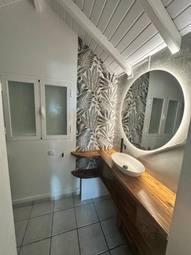 a bathroom with a sink and a mirror at Duplex Atypique et Authentique in Saint Martin