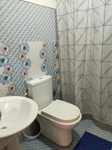 a bathroom with a toilet and a sink at Ella Summer Leisure in Ella