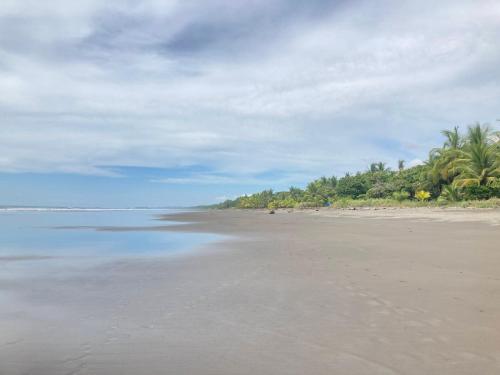 an empty beach with palm trees and the ocean at Safari tent with private pool close to Manuel Antonio Glamping 2 in Savegre