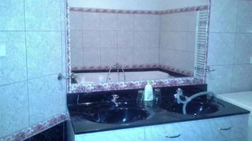 a bathroom with a sink and a bath tub at Guest House U Náhonu in Chrudim