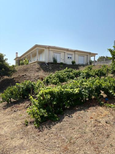 a house on top of a hill with plants at Villa Quinta Dom Reis in Batalha