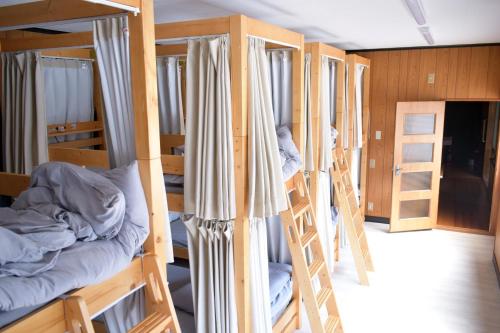 a group of bunk beds in a dorm room at ゲストハウス輪 高野山麓 in Hashimoto