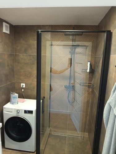 a shower in a bathroom with a washing machine at Apartmán s 2 spálňami pri lesoparku in Prievidza