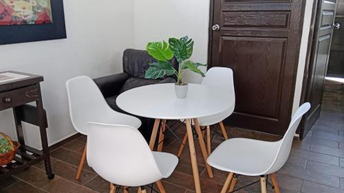a white table and chairs with a potted plant at Suite La Lomita #1 Climatizada Zona Dorada Tuxtla in Tuxtla Gutiérrez
