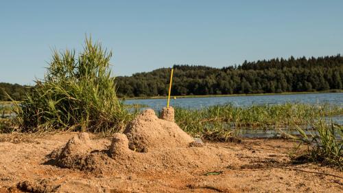 Fotografie z fotogalerie ubytování Hotel Na Pláži v destinaci Horní Planá