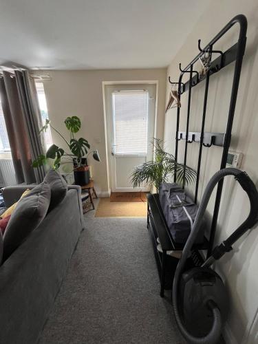 a living room with a couch and a gym at Cosy 1 bedroom flat Oxford in Oxford