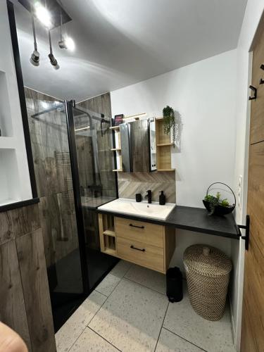 Et badeværelse på Studio magnifique avec chambre et vue magique