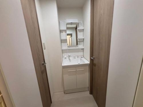 a bathroom with a sink and a mirror at 板橋 RCアネックス Rc205 in Tokyo