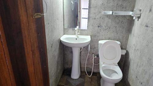 a bathroom with a sink and a toilet and a mirror at The paulwood cabana and Bungalow in Nuwara Eliya