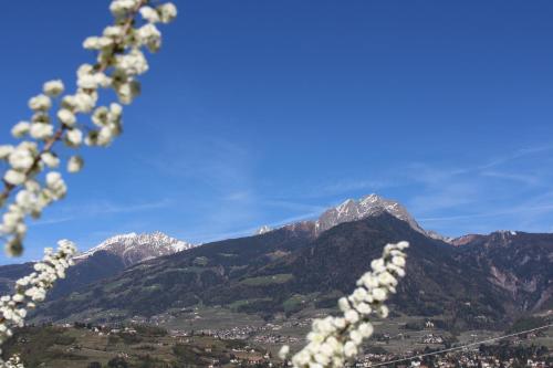 a view of a mountain range with snow capped mountains at Eco Bnb & Apartments Bründlerhof in Marlengo