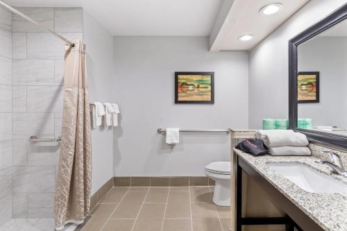 a bathroom with a toilet and a sink at Brentwood Suites Nashville, an Ascend Collection Hotel in Brentwood