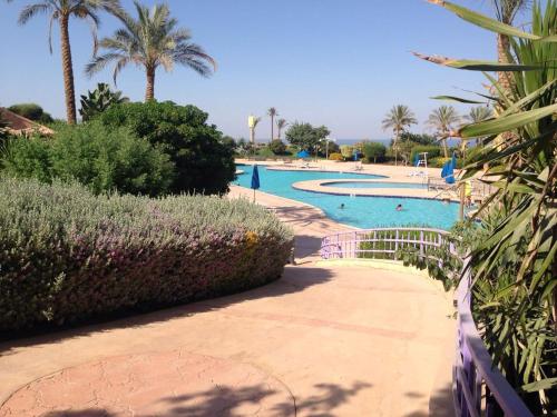 a swimming pool with palm trees and bushes in a resort at Royal Chalet Porto Sokhna عائلات فقط in Ain Sokhna