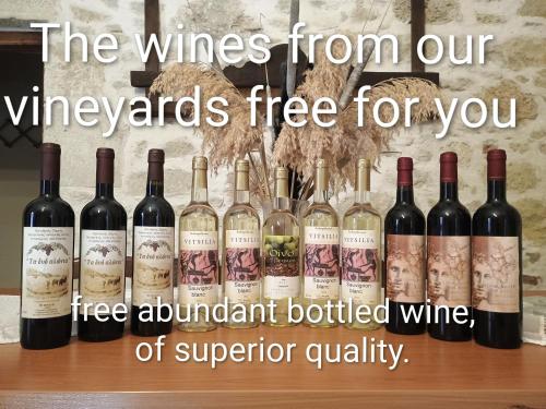 een bos wijnflessen op een plank bij Traditional Creta stone house in serenity village in Vitsiliá