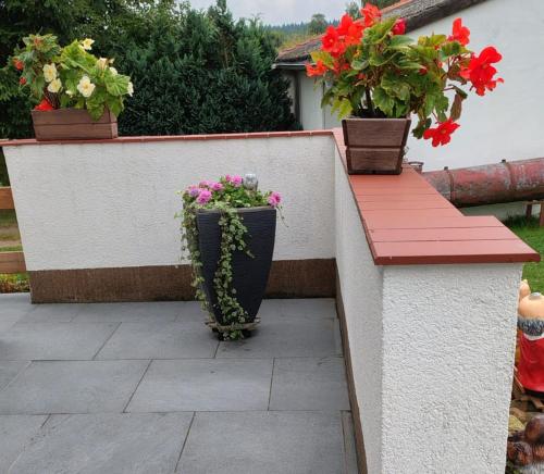two potted plants sitting on a wall with flowers at Bungalow THEA in Langhagen