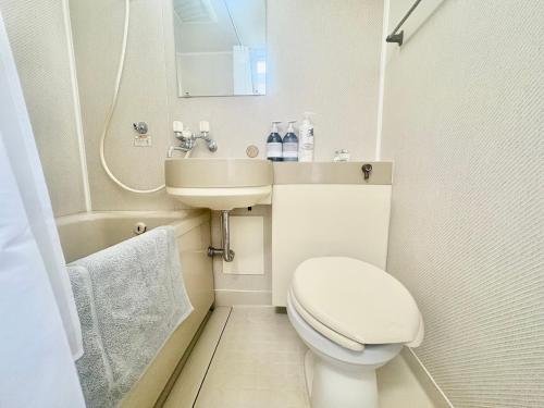 御殿場市にあるFUJI Forest House203のトイレと洗面台のある小さなバスルーム