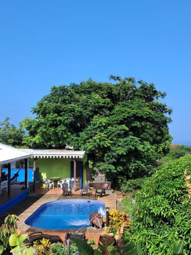 a swimming pool in front of a large tree at Gîte au Carbet in Le Morne aux Bœufs